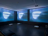 Signal into Memory